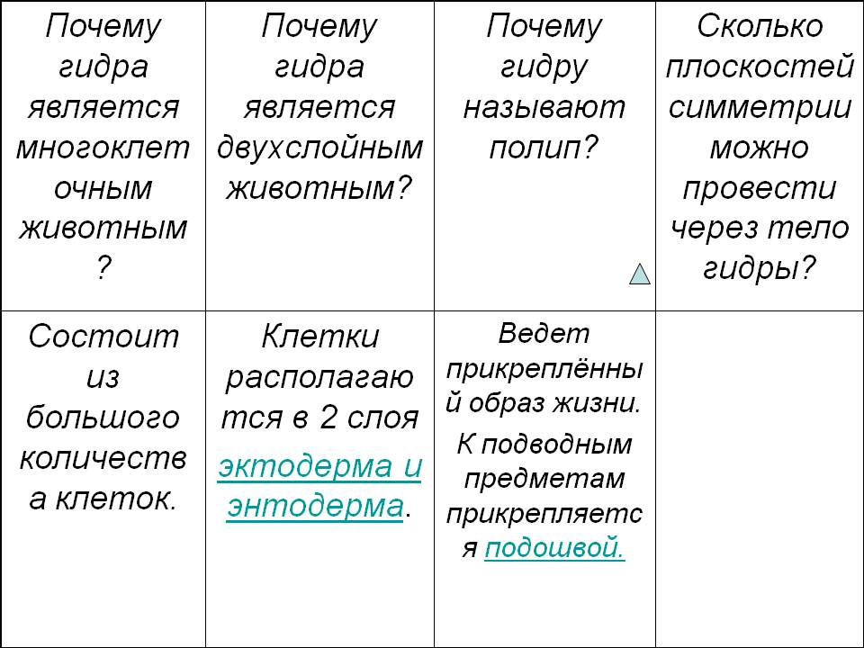 Кракен сайт в тор браузере ссылка