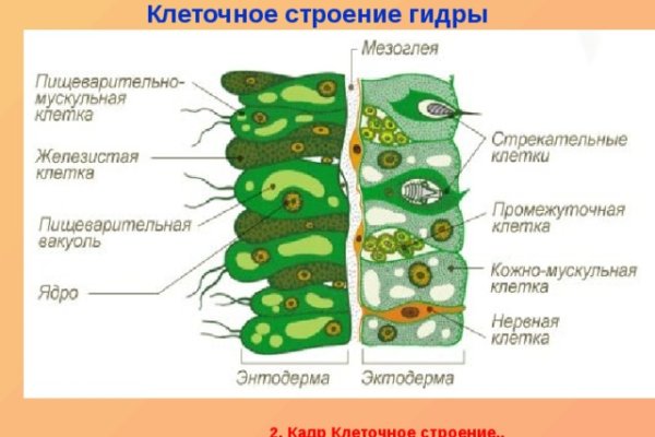 Даркнет кракен отзывы о платформе