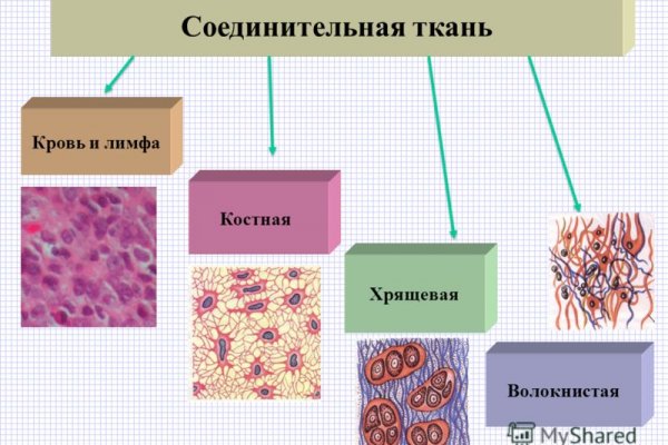 Кракен ссылка market pw